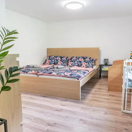 Vila Dum C. 28 Bystré Exteriér fotografie